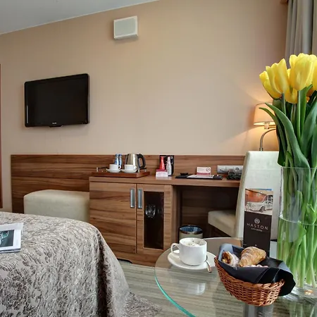 哈斯顿城市酒店 4*