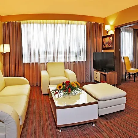 哈斯顿城市酒店