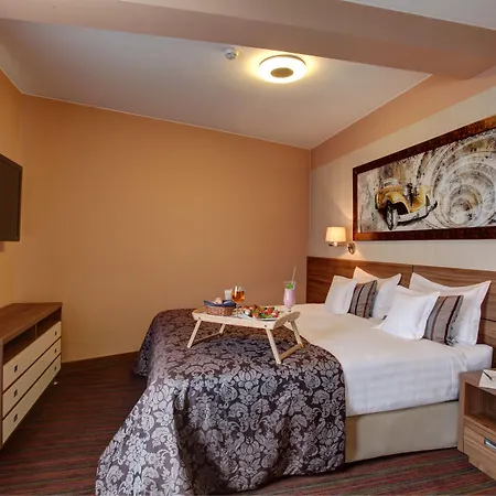 酒店 哈斯顿城市酒店 4*