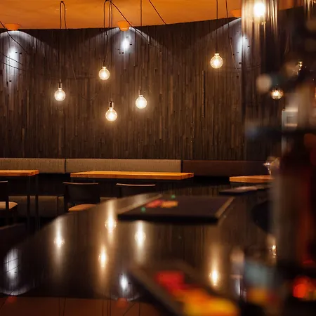 酒店 哈斯顿城市酒店 4*