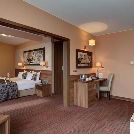 酒店 哈斯顿城市酒店 弗罗茨瓦夫